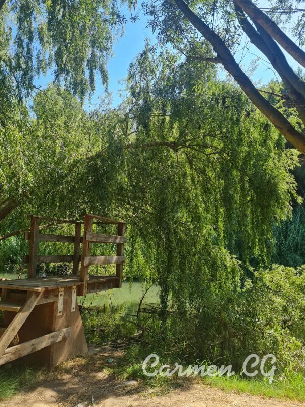 Działka na sprzedaż w Paterna, Walencja photo 2