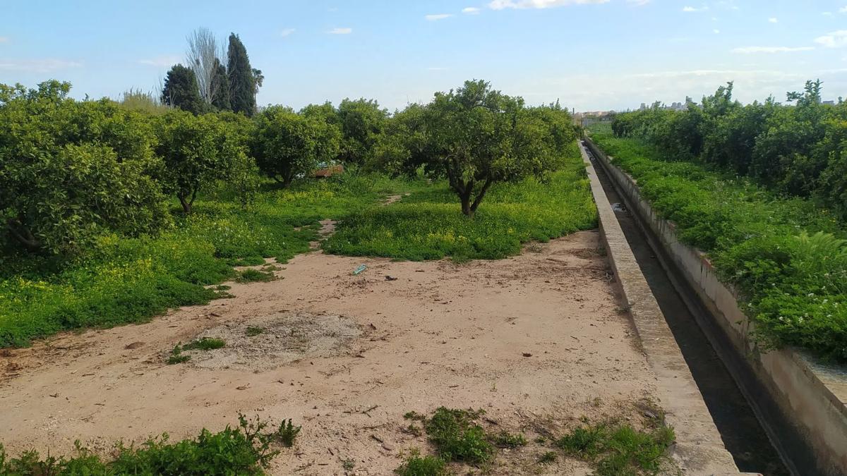 Land for sale in Moncada, Valencia photo 1
