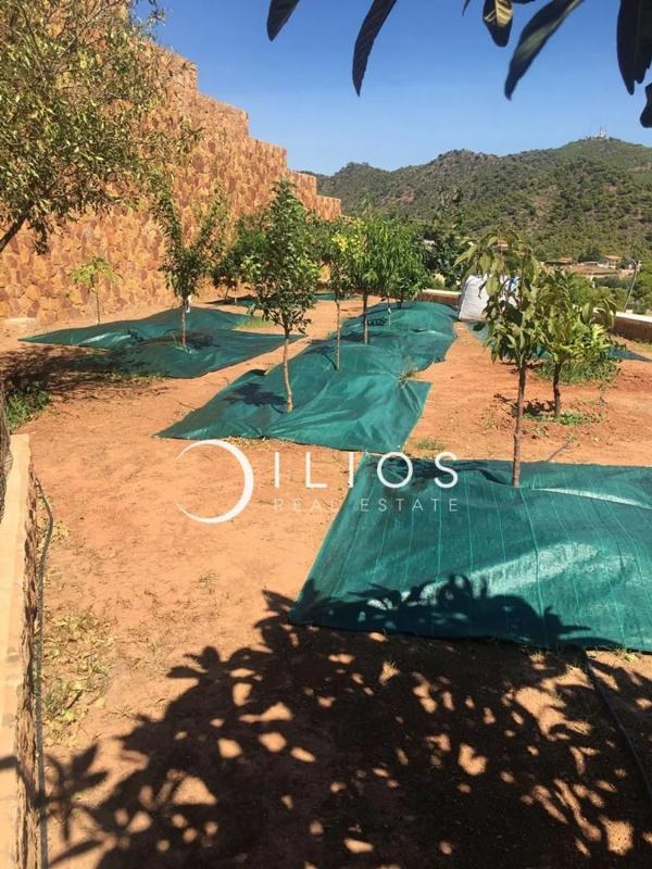 Terreno en venta en Puçol, Valencia photo 4