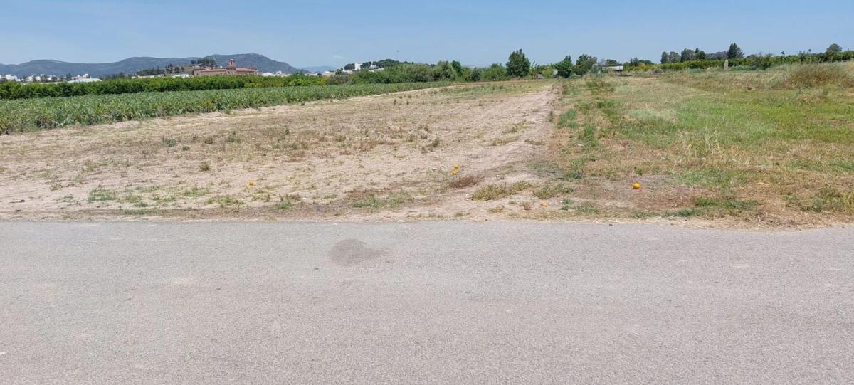 Terreno en venta en Puig, Valencia photo 2
