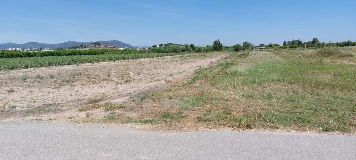 Terreno en venta en Puig, Valencia photo 3