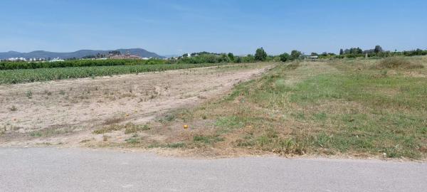 Terreno en Partida Cebolleta, 6 thumbnail 2