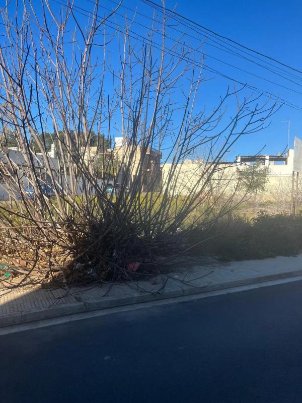 Terreno en venta en Massamagrell, Valencia photo 4