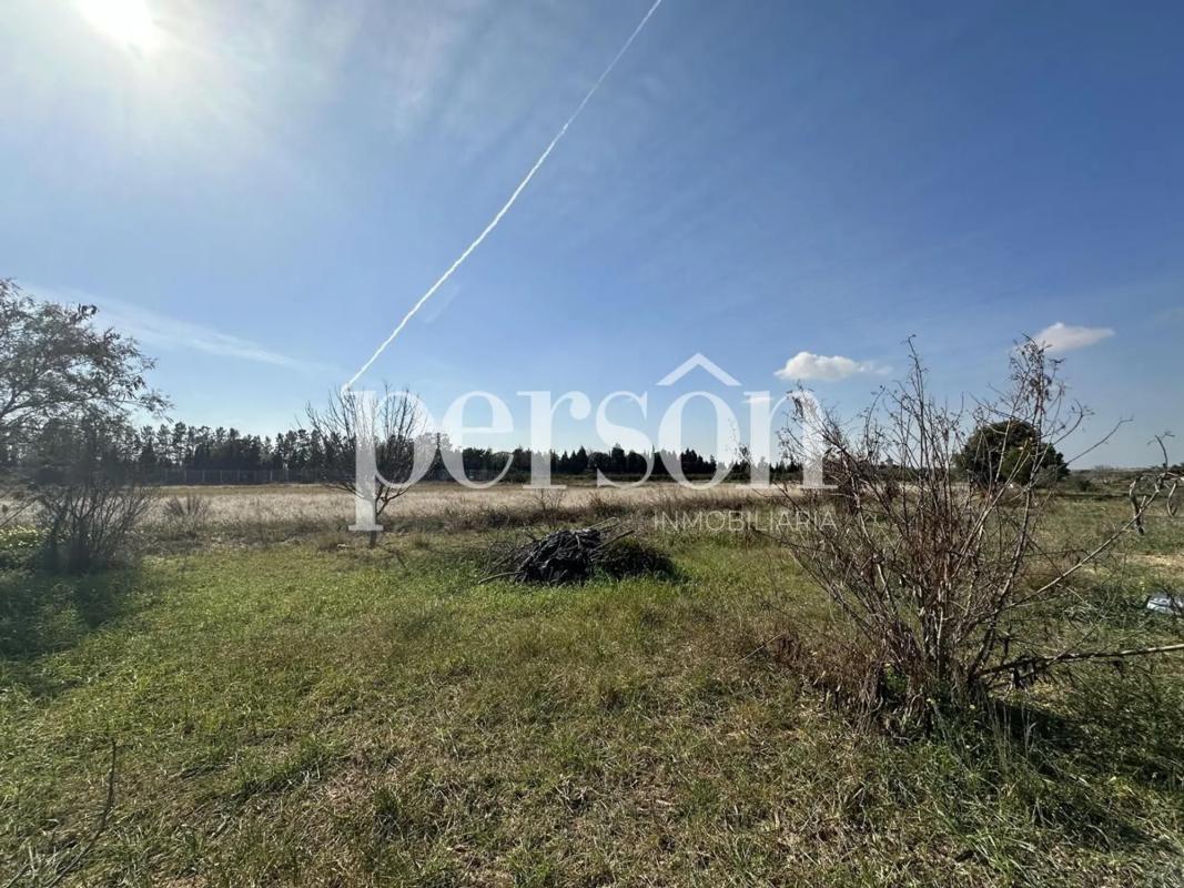 Terreno en venta en Puig, Valencia photo 4