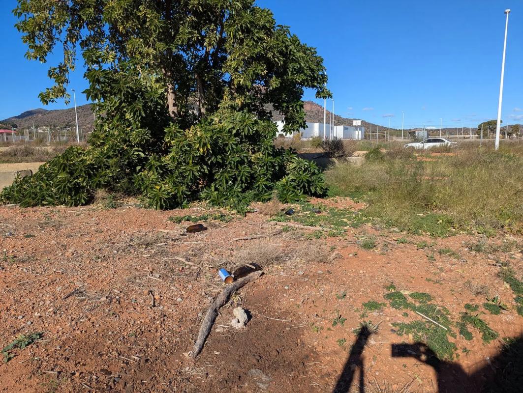Terreno en venta en Puçol, Valencia photo 2