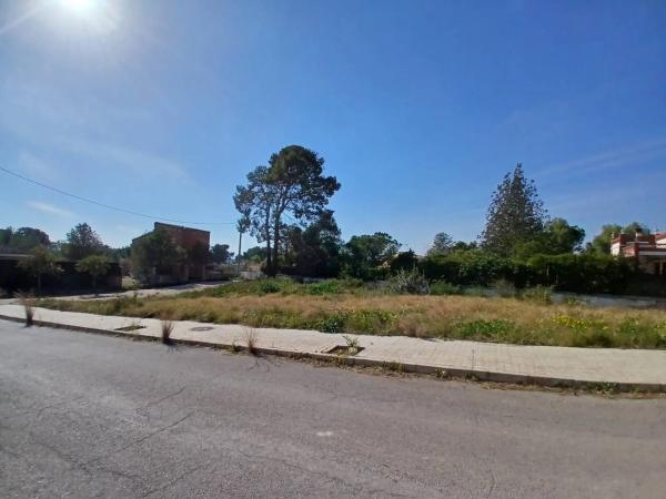 Terreno en calle 325, 20 photo 3