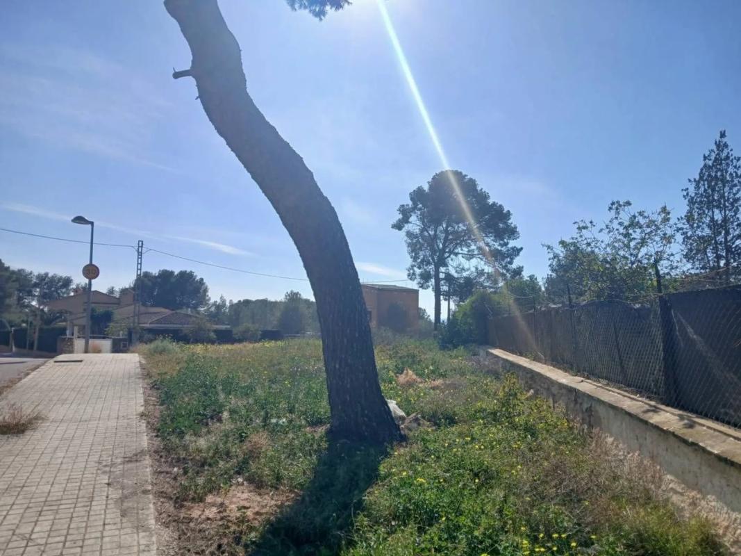 Участок земли на продажу в Патерна, Валенсия photo 5