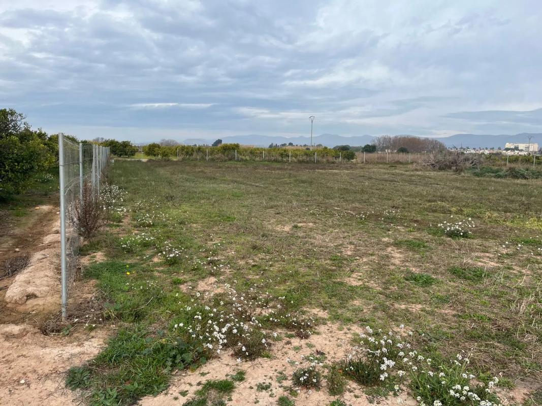 Terreno en venta en Puig, Valencia photo 3