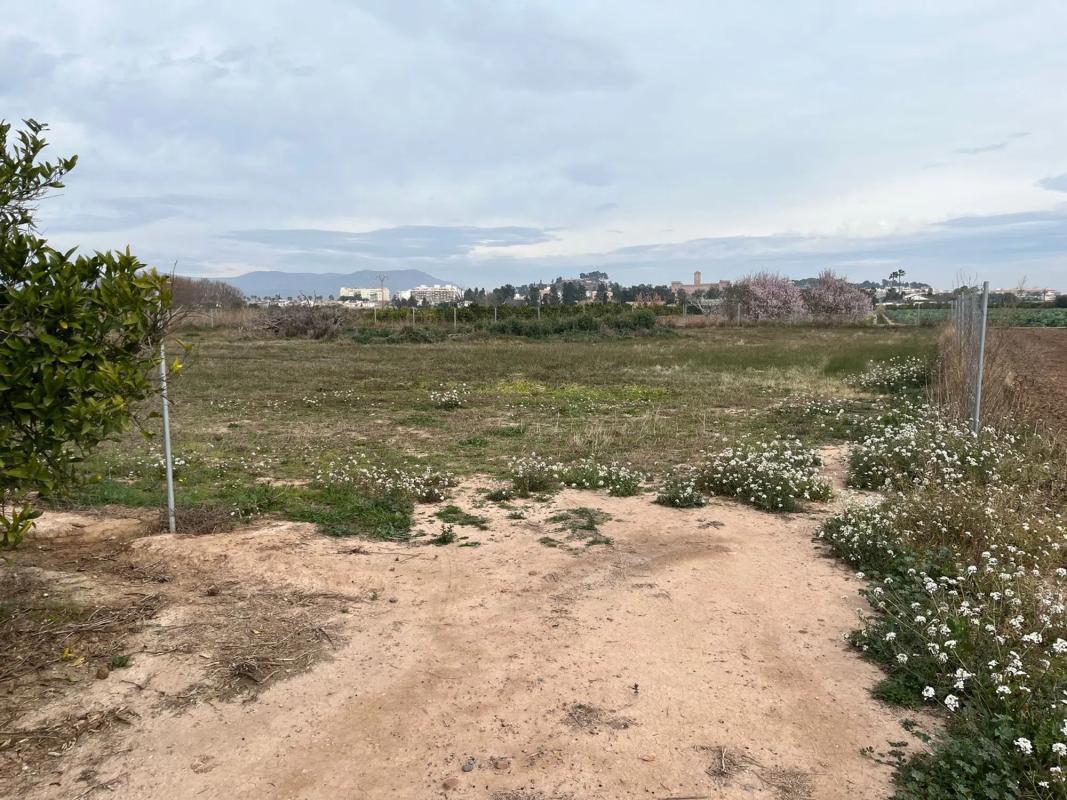 Terreno en venta en Puig, Valencia photo 5