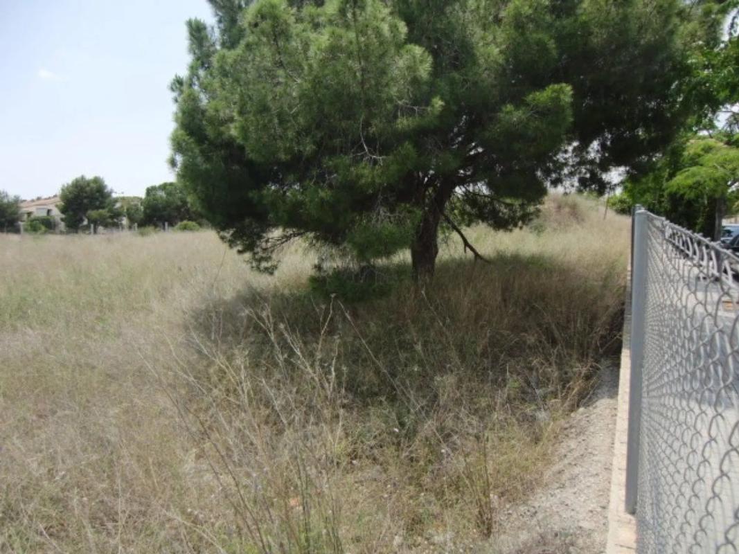 Terreno en venta en Godella, Valencia photo 4