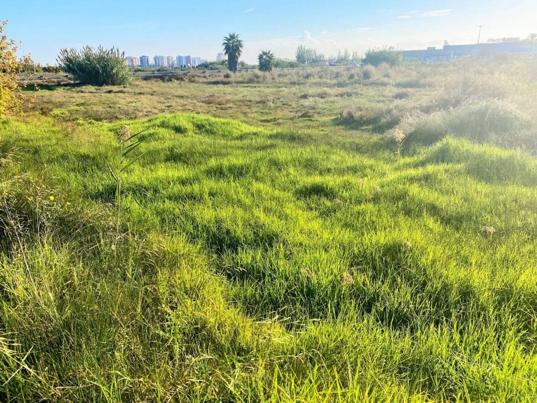 Участок земли на продажу в Масальфасар, Валенсия photo 4
