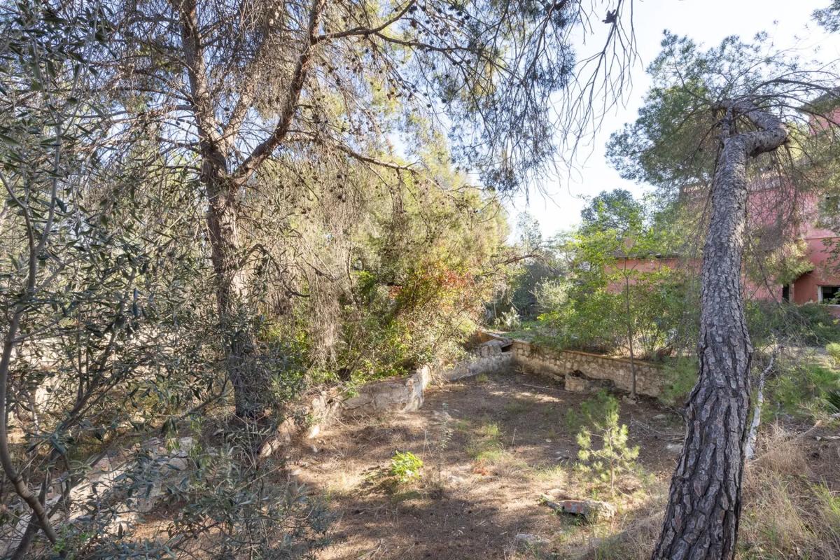 Terreno en venta en Godella, Valencia photo 2