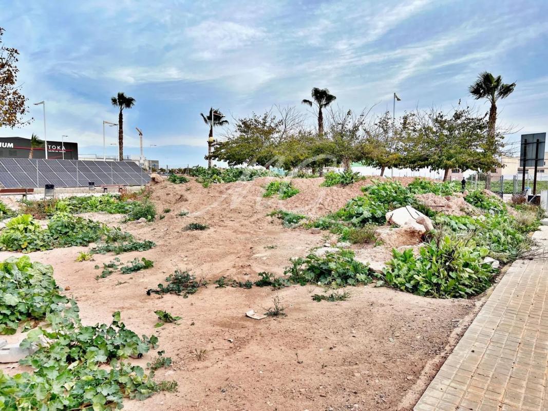 Land for sale in Albalat dels Sorells, Valencia photo 3