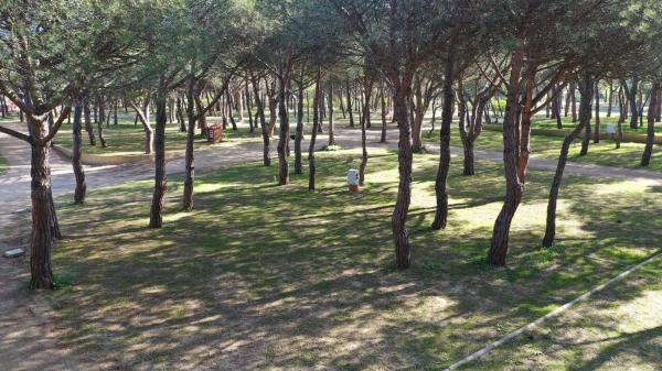 Terreno en calle 1 photo 2