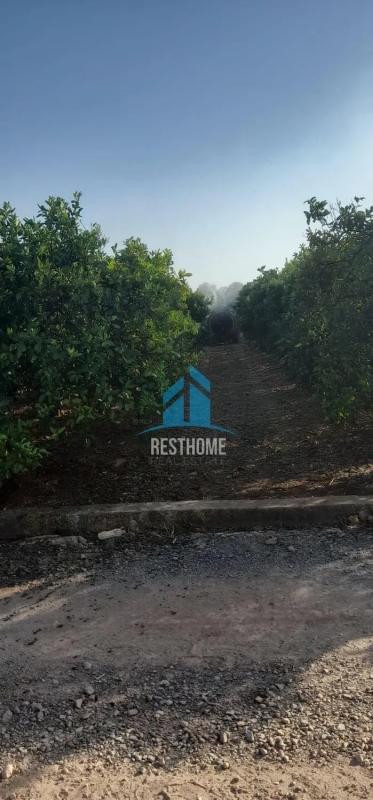 Terreno en venta en Puig, Valencia photo 3