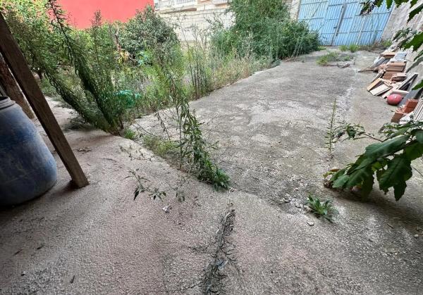Terreno en Santa Rita photo 3
