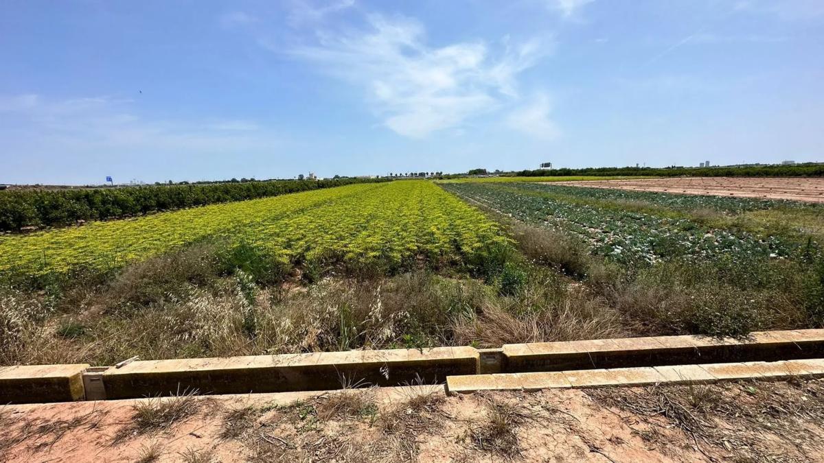 Terreno en venta en Puçol, Valencia photo 2