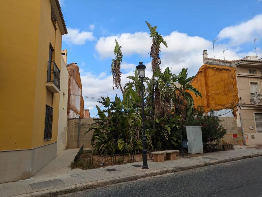 Land for sale in Moncada, Valencia photo 5