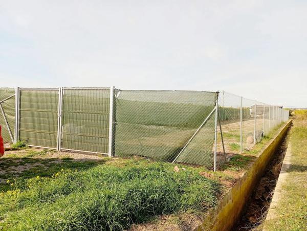Terreno en calle Padre, 5 photo 4