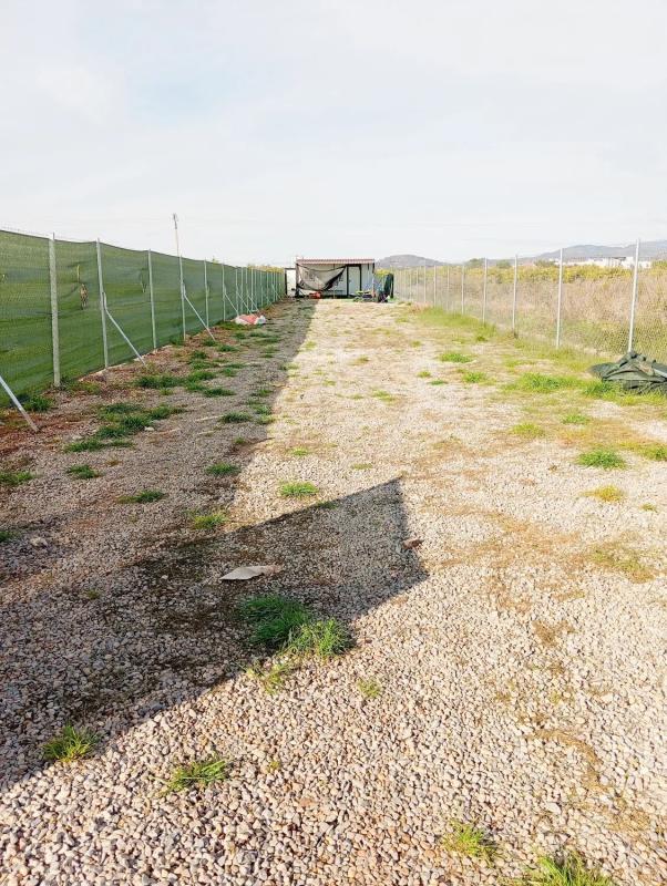 Terreno en venta en Puçol, Valencia photo 5