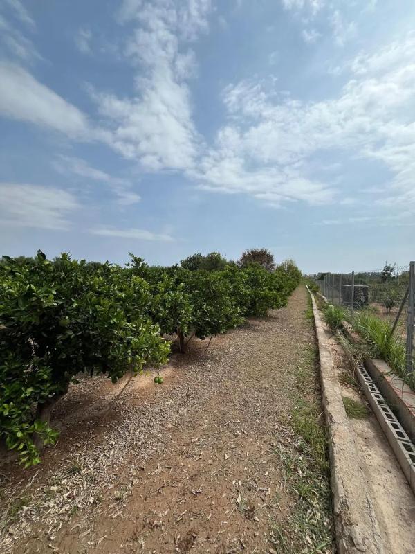 Terreno en venta en Puig, Valencia photo 1