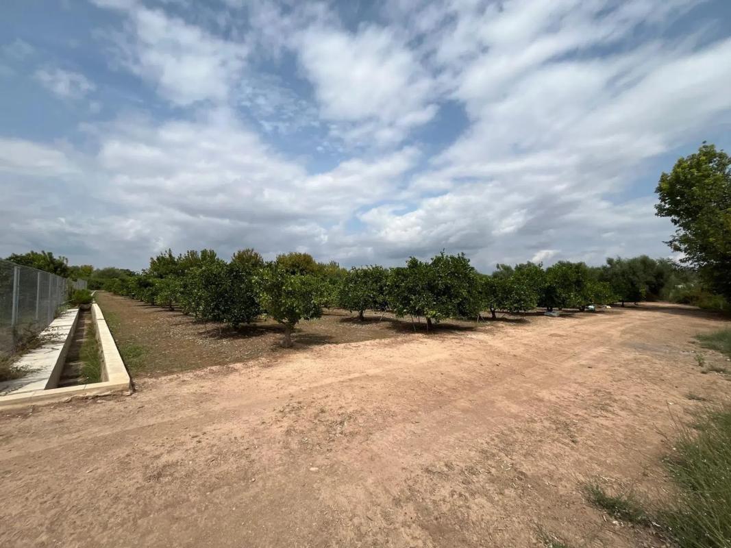 Terreno en venta en Puig, Valencia photo 3