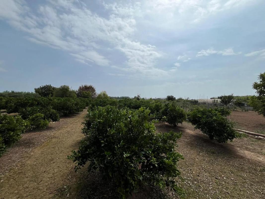 Terreno en venta en Puig, Valencia photo 4