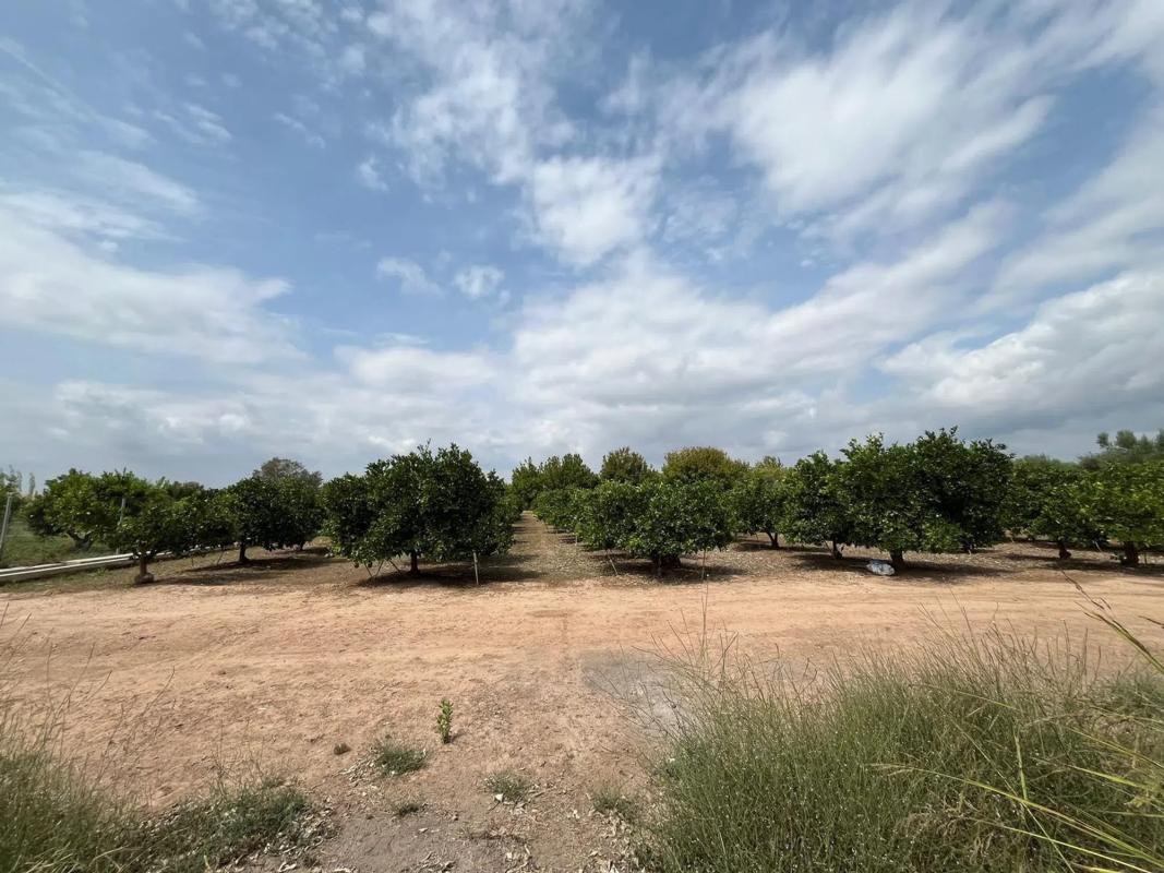 Terreno en venta en Puig, Valencia photo 5