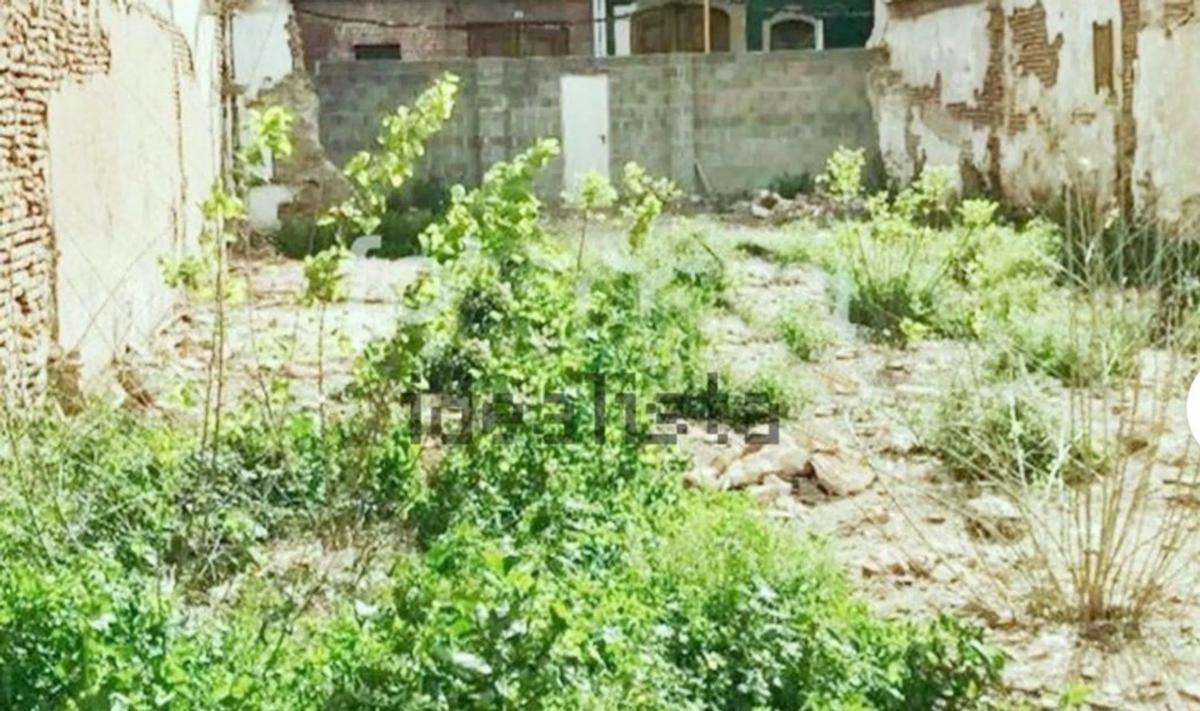 Участок земли на продажу в Алборайя, Валенсия photo 4