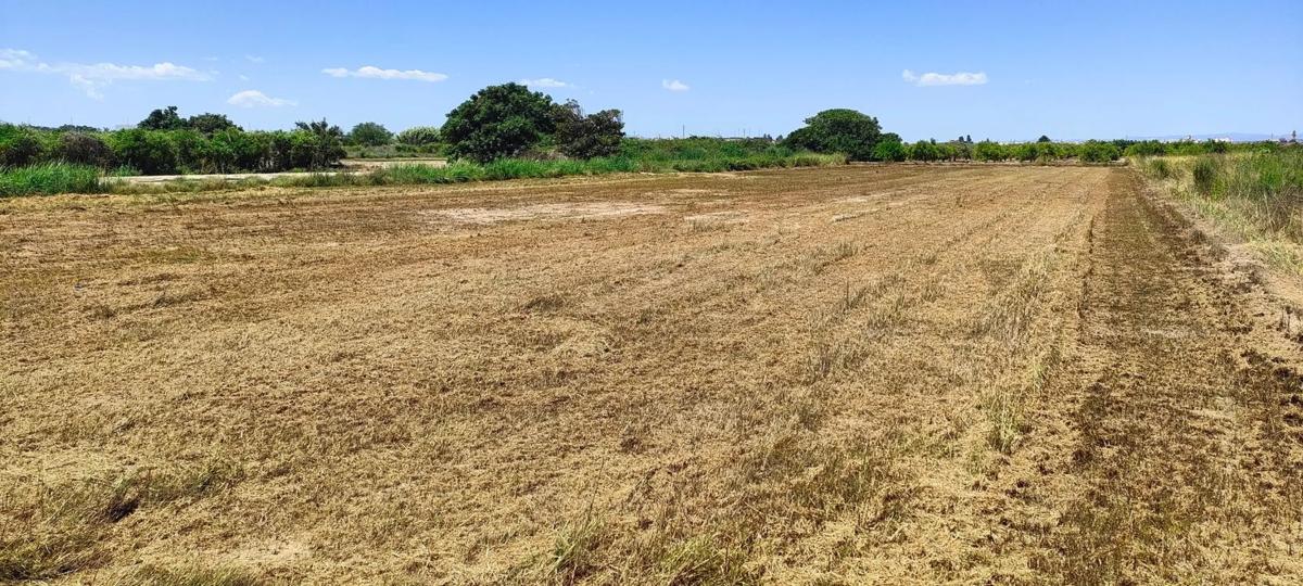 Terreno en venta en Massamagrell, Valencia photo 1