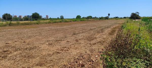 Terreno en vistabella rafalell s/n photo 4