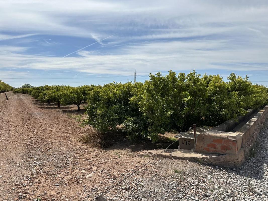 Terreno en venta en Puig, Valencia photo 1