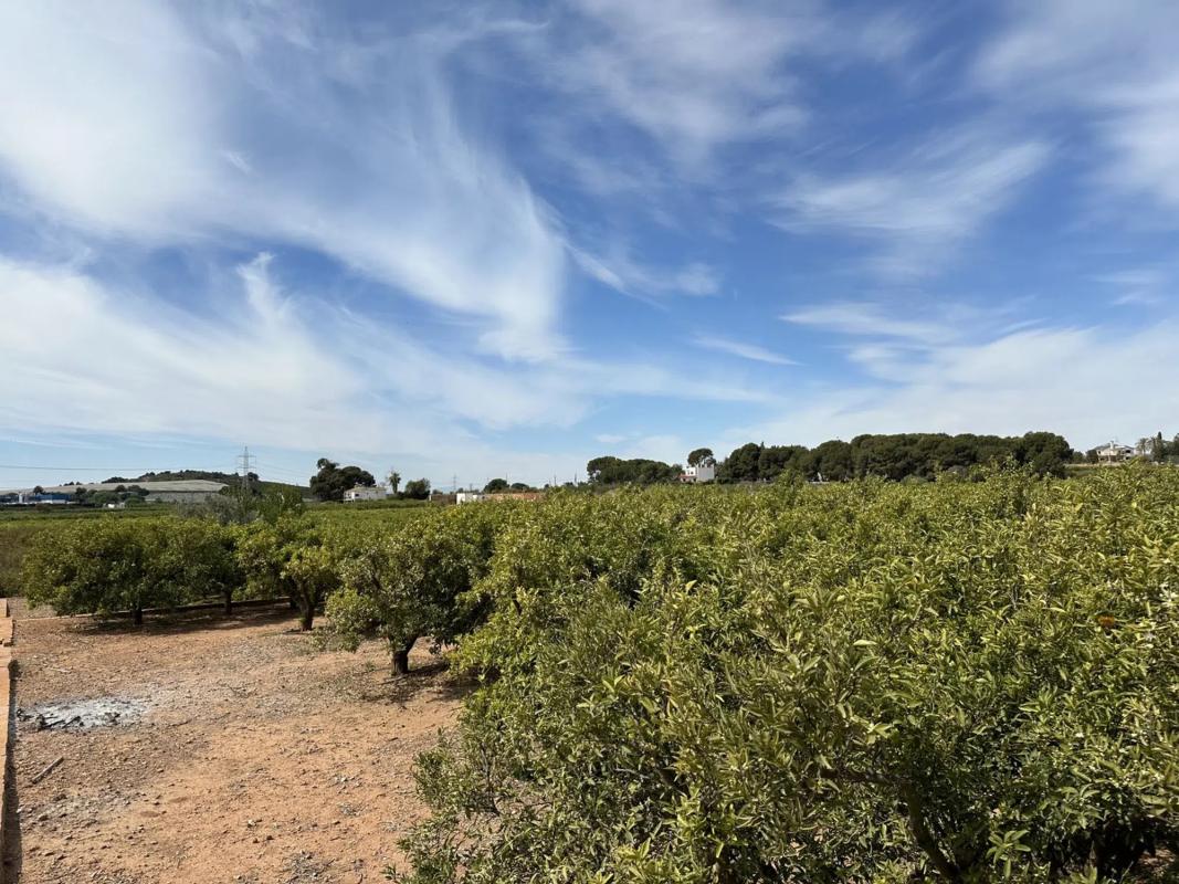 Terreno en venta en Puig, Valencia photo 2