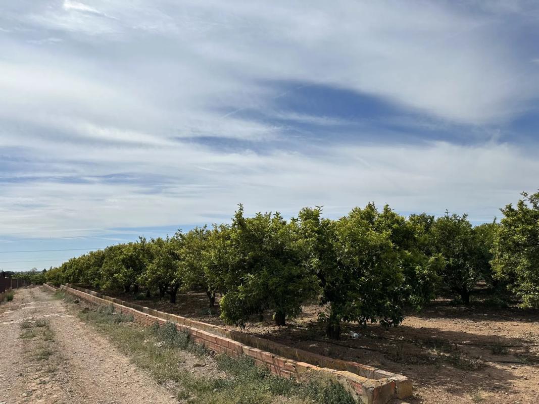 Terreno en venta en Puig, Valencia photo 3