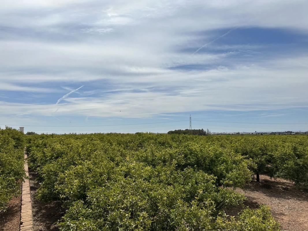 Terreno en venta en Puig, Valencia photo 4