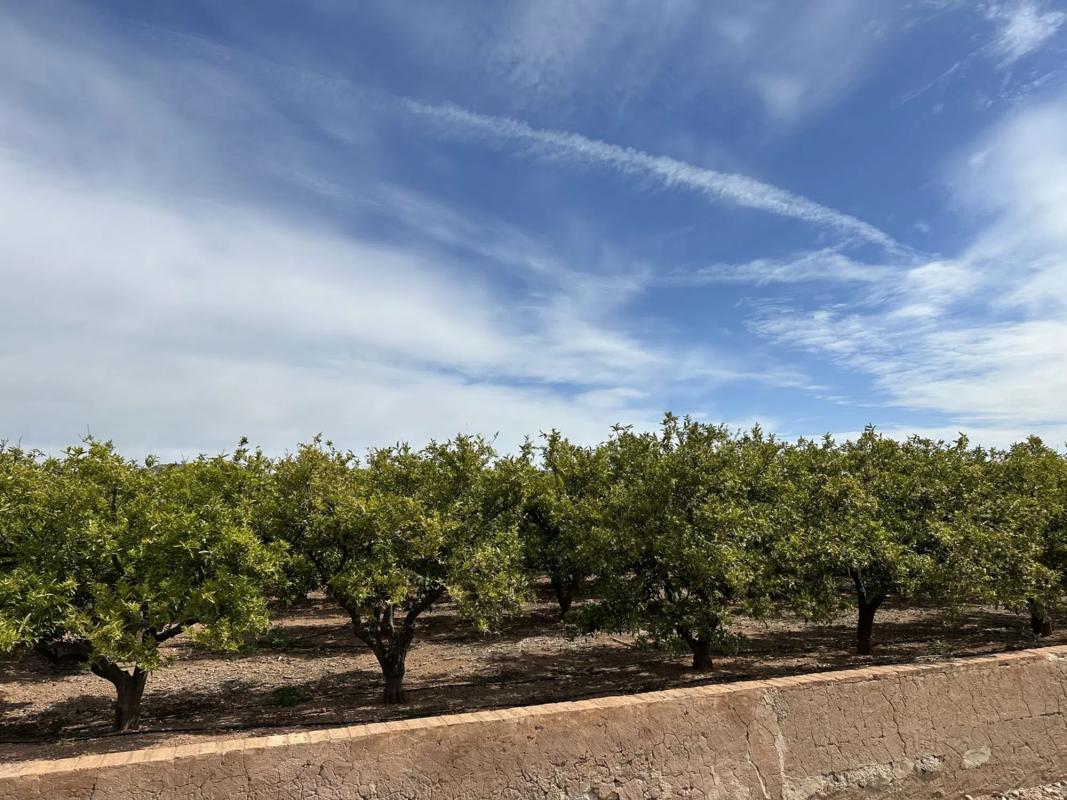 Terreno en venta en Puig, Valencia photo 5