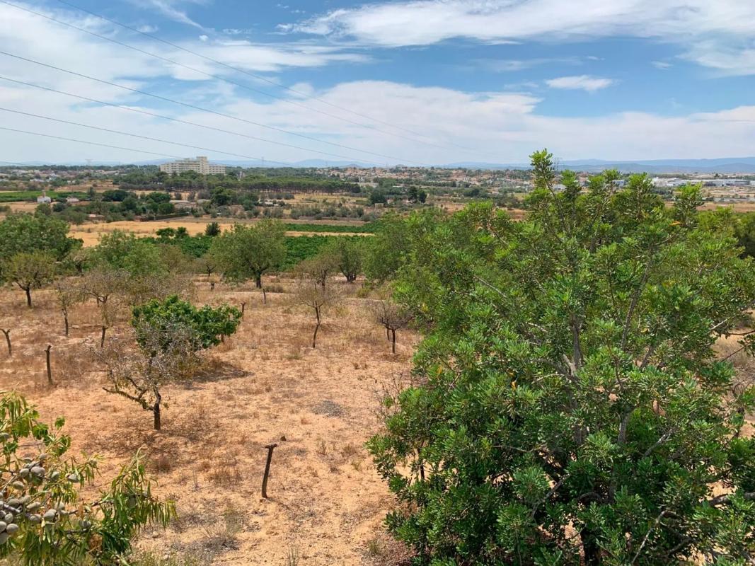 Terreno en venta en Paterna, Valencia photo 3