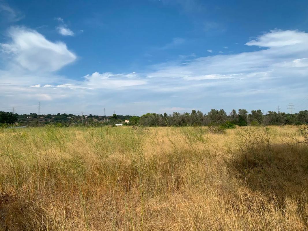 Terreno en venta en Paterna, Valencia photo 5
