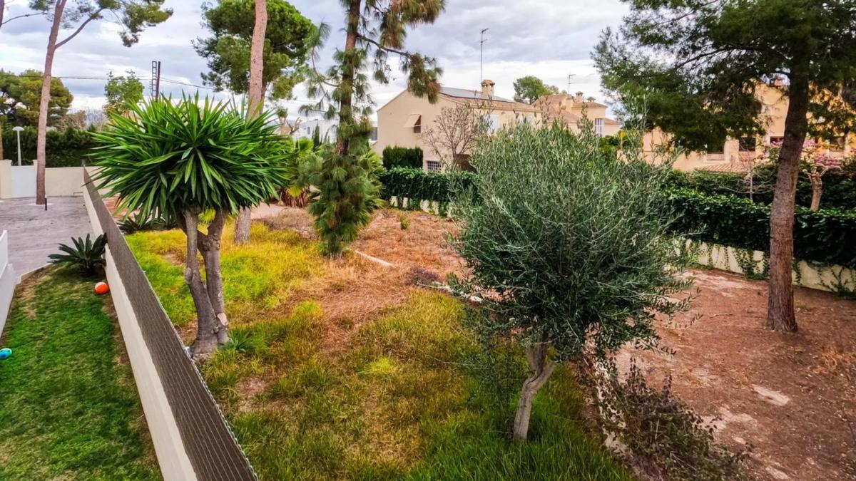 Terreno en venta en Paterna, Valencia photo 5
