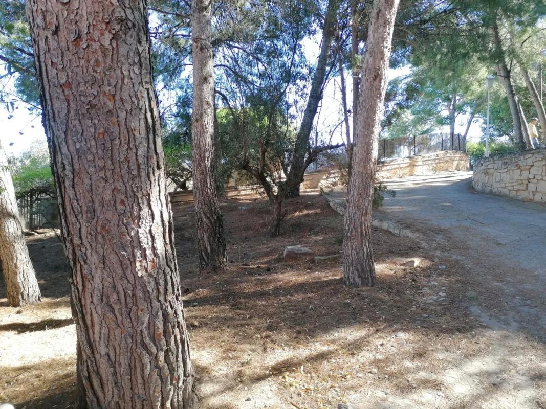 Terreno en venta en Godella, Valencia photo 4