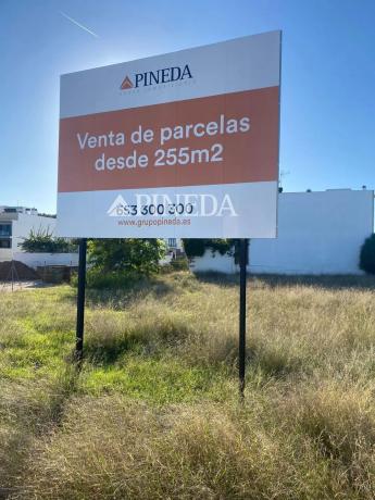Terreno en avenida Antonio Sacramento photo 4