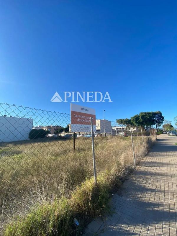 Terreno en venta en Puig, Valencia photo 5