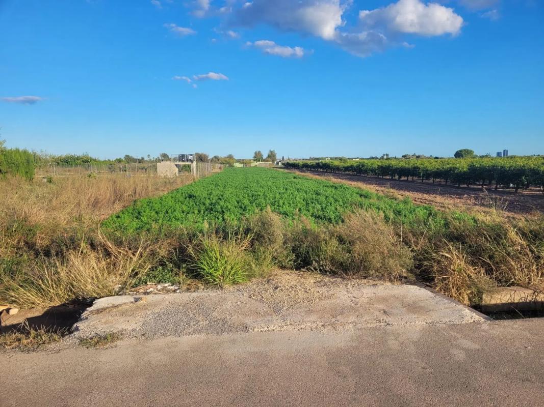 Terreno en venta en Puçol, Valencia photo 1
