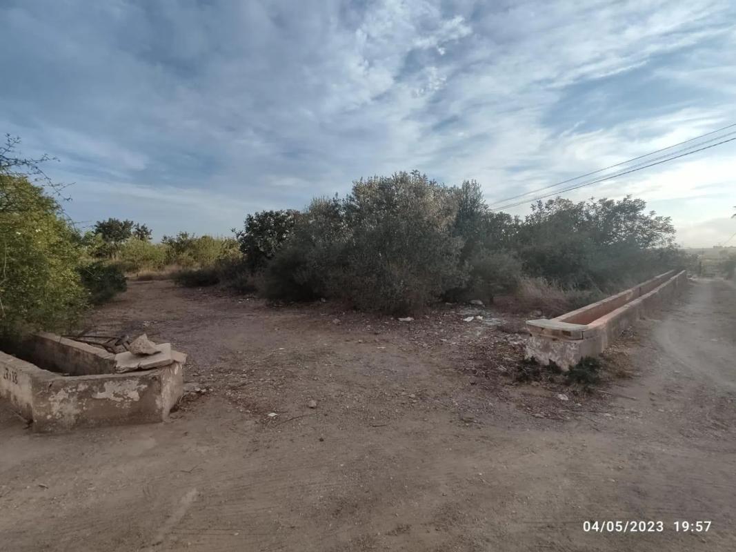 Terreno en venta en Puig, Valencia photo 5