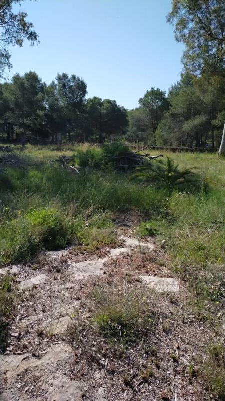 Land for sale in Moncada, Valencia photo 3