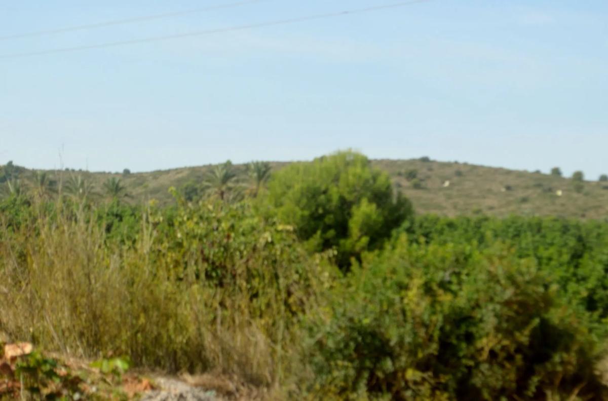 Terreno en venta en Puçol, Valencia photo 2