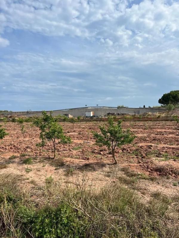 Terreno en venta en Puçol, Valencia photo 3
