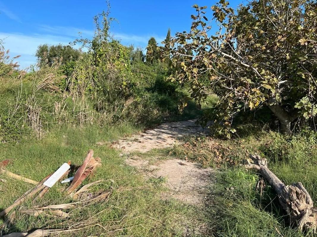 Terreno en venta en Puçol, Valencia photo 3