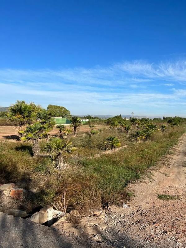 Terreno en venta en Puçol, Valencia photo 2