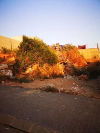Terreno en calle Industrias s/n photo 1